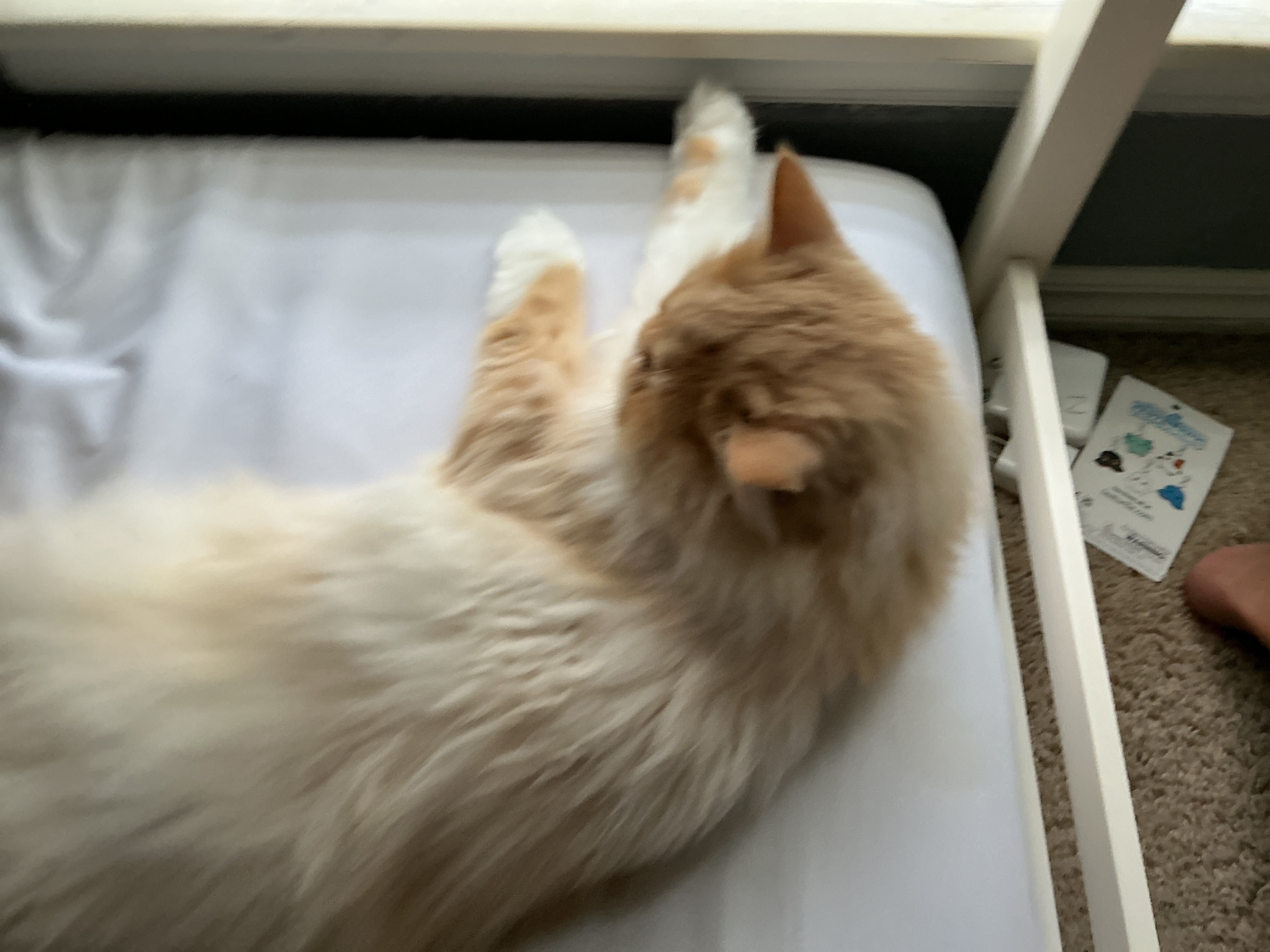 Pasta stretch